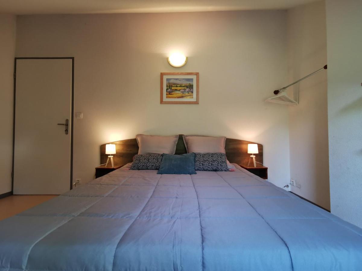 Au 11 T3 Duplex, Village Vacances, Piscines, Parking Saint-Geniez-dʼOlt 外观 照片