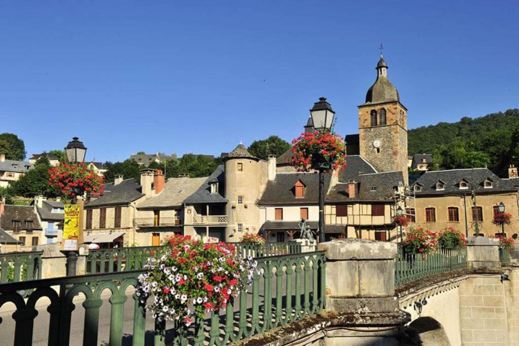 Au 11 T3 Duplex, Village Vacances, Piscines, Parking Saint-Geniez-dʼOlt 外观 照片