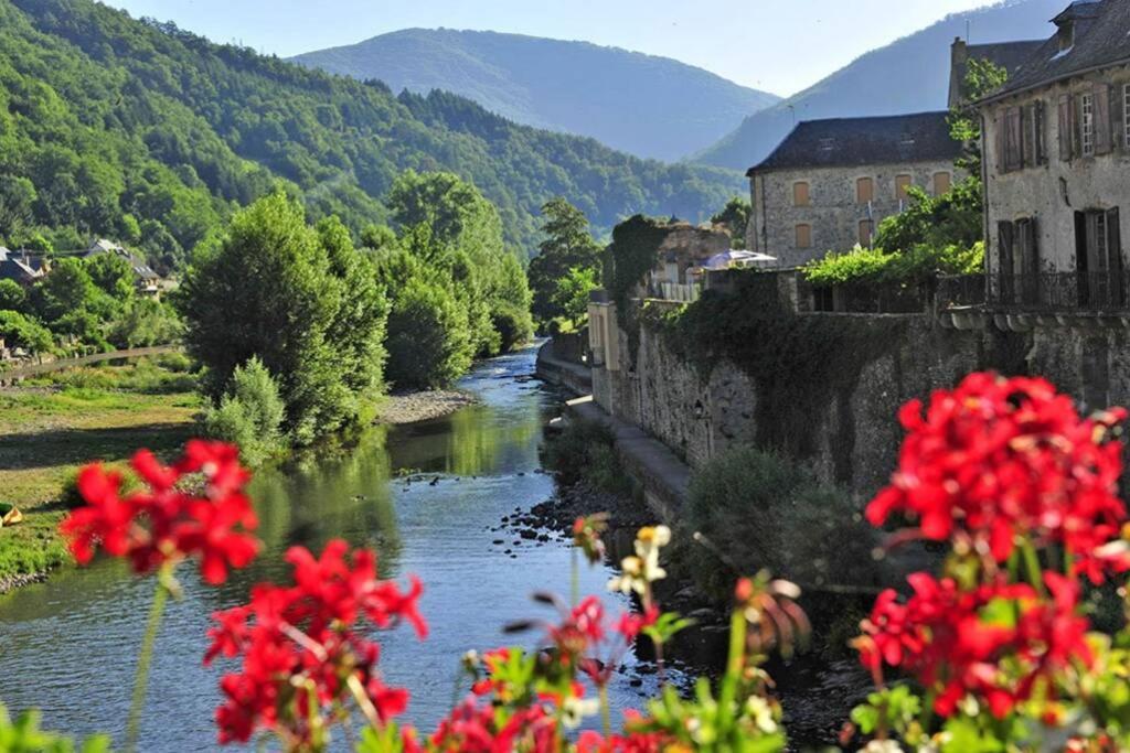 Au 11 T3 Duplex, Village Vacances, Piscines, Parking Saint-Geniez-dʼOlt 外观 照片