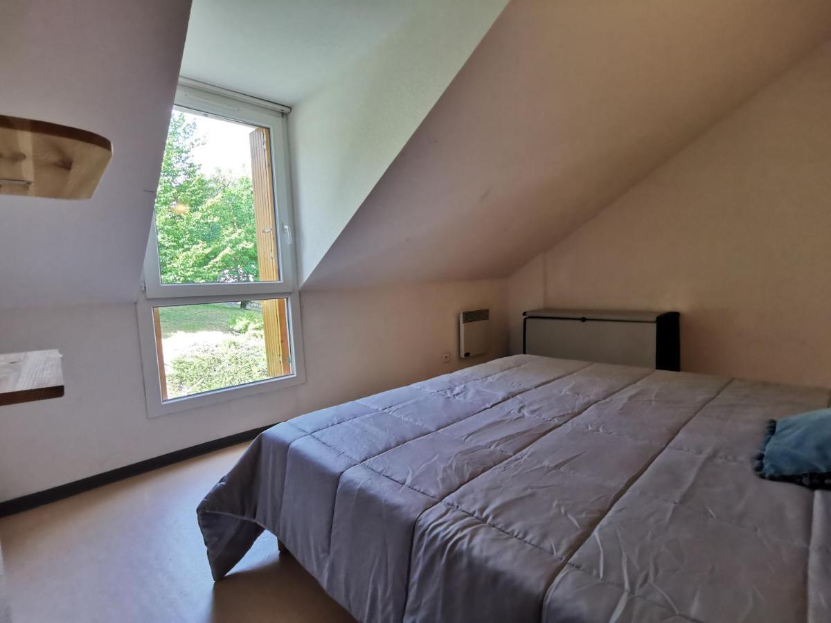 Au 11 T3 Duplex, Village Vacances, Piscines, Parking Saint-Geniez-dʼOlt 外观 照片