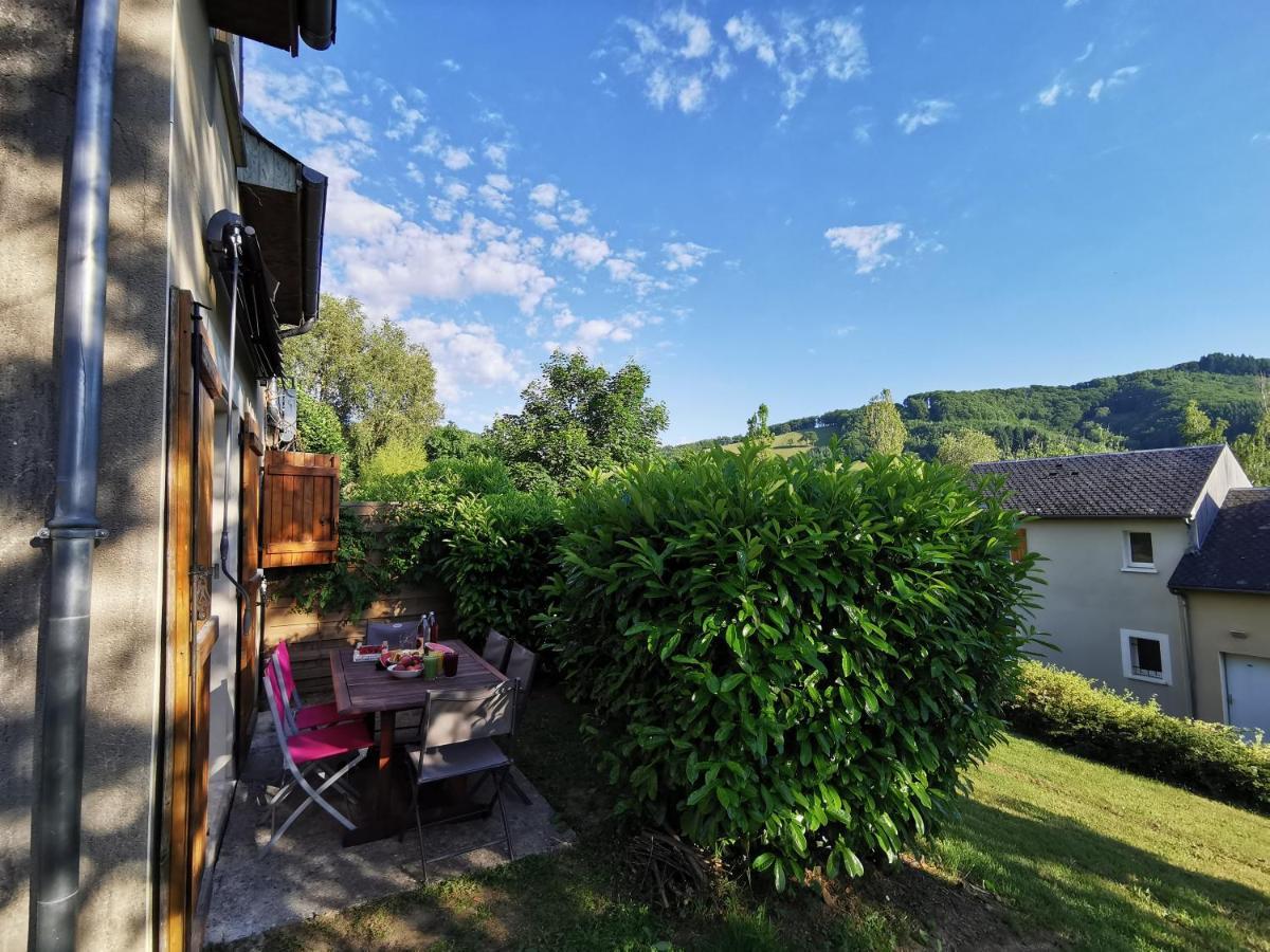 Au 11 T3 Duplex, Village Vacances, Piscines, Parking Saint-Geniez-dʼOlt 外观 照片