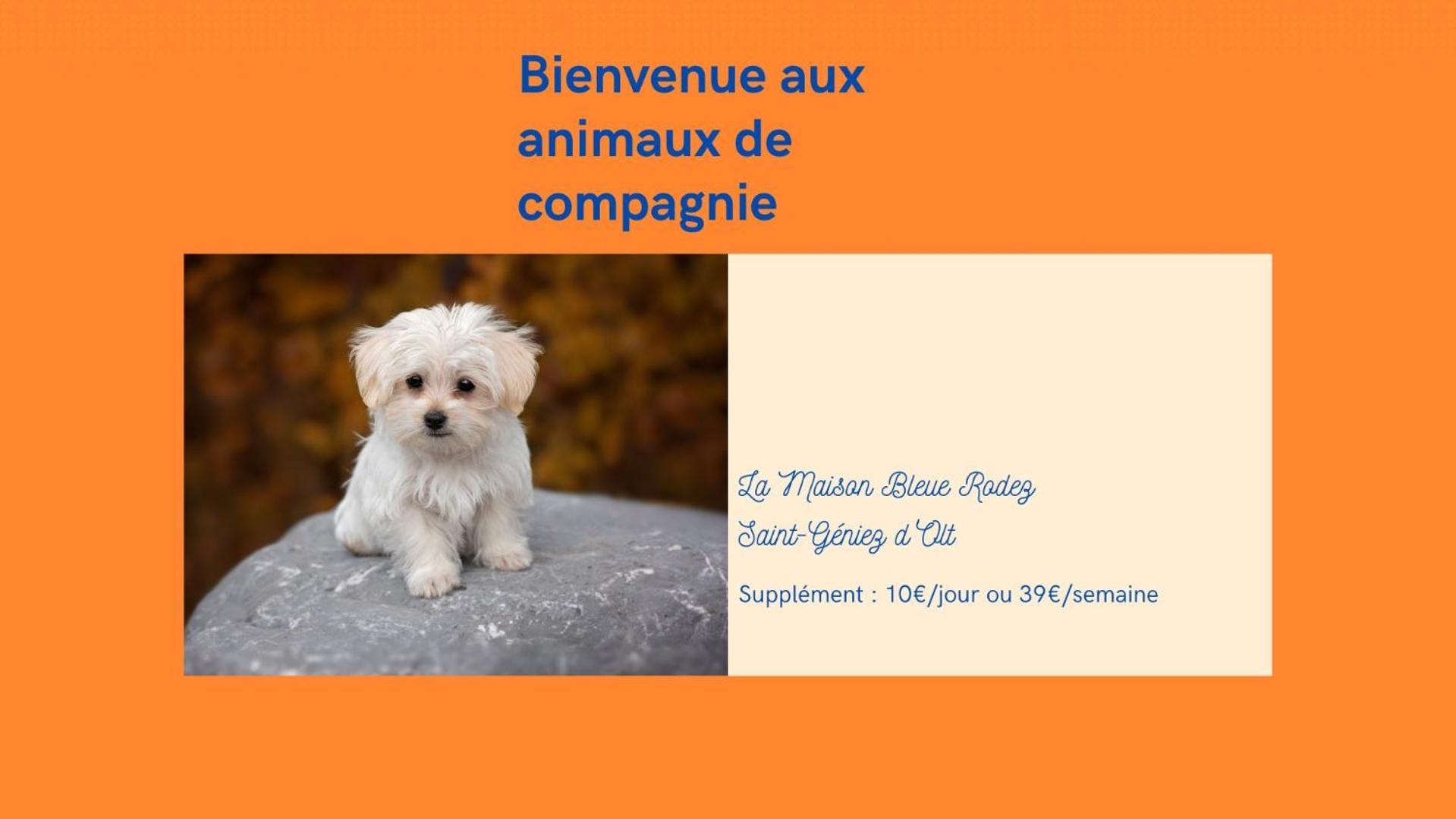 Au 11 T3 Duplex, Village Vacances, Piscines, Parking Saint-Geniez-dʼOlt 外观 照片